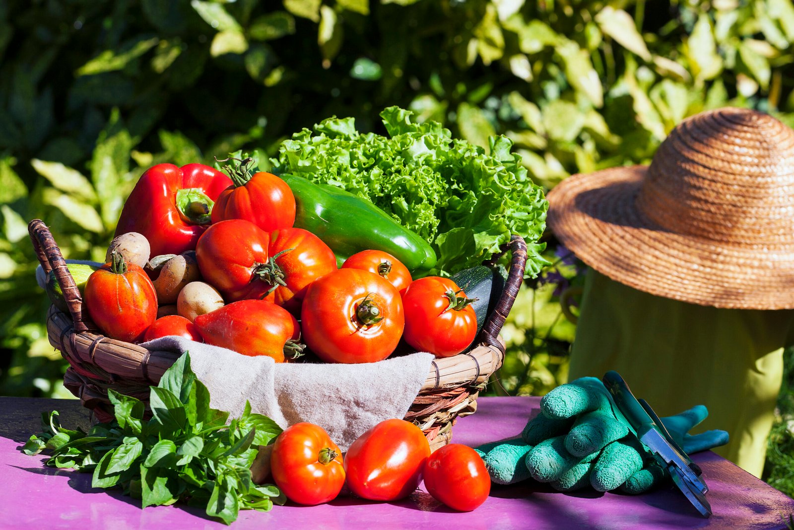 Vegetables in a basket under the sunlight